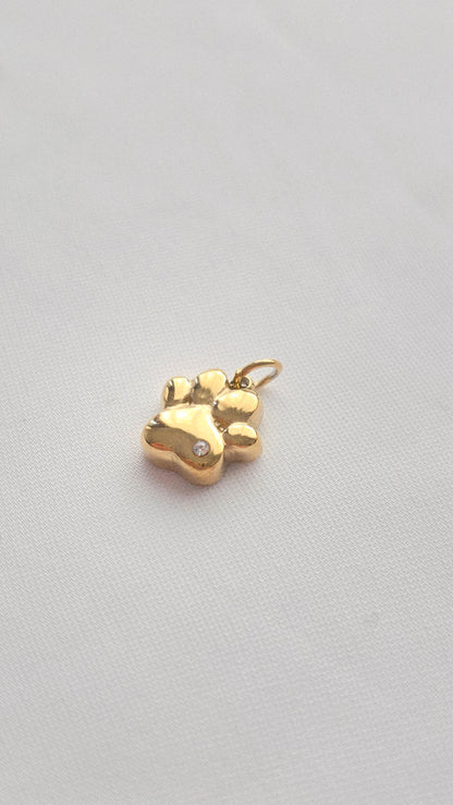 GOLDEN PAW 𖦹 Charm