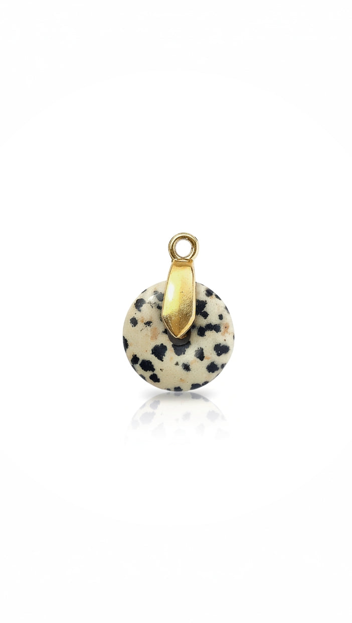 SAFARI 𖦹 Charm