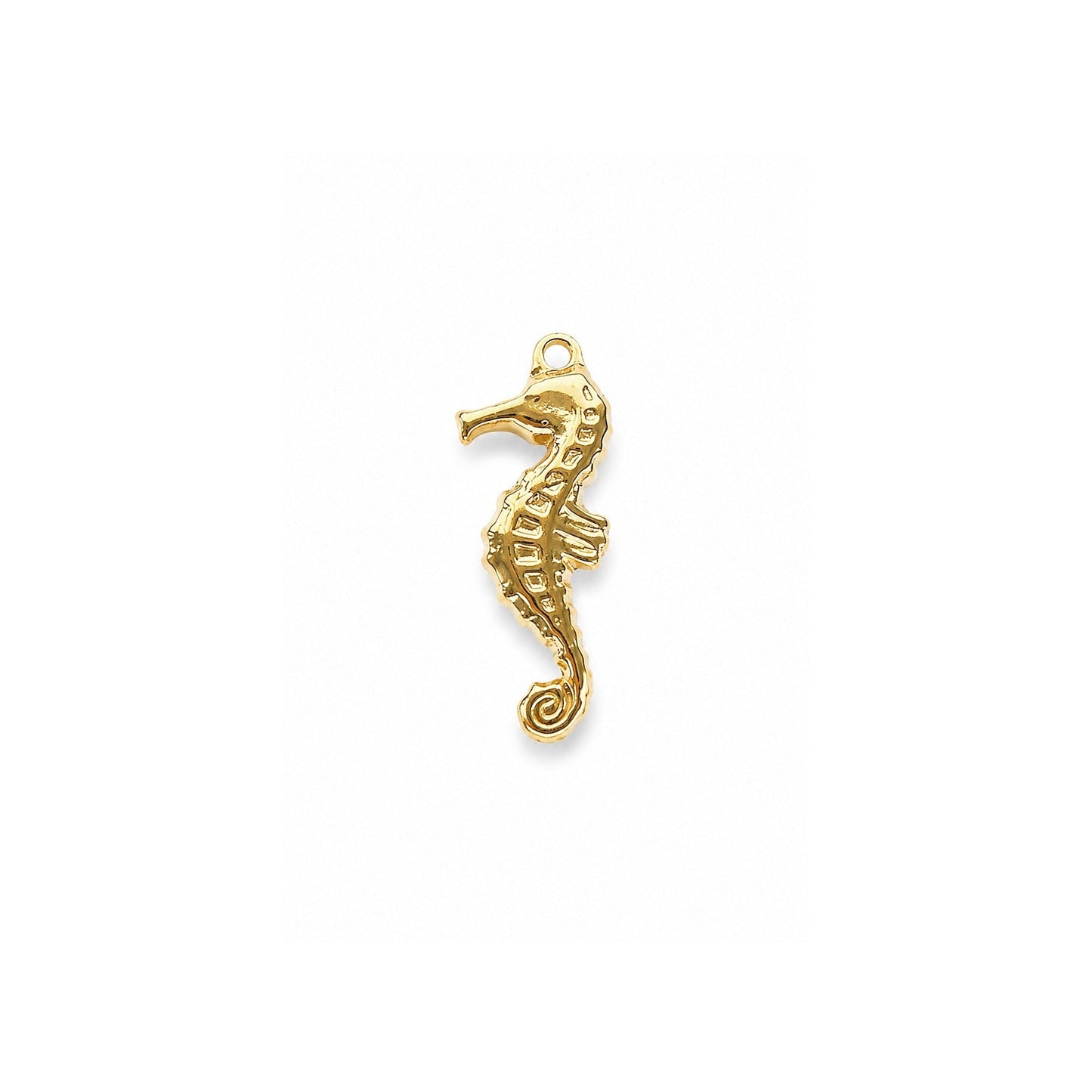 SEA ICON 𖦹 Charm