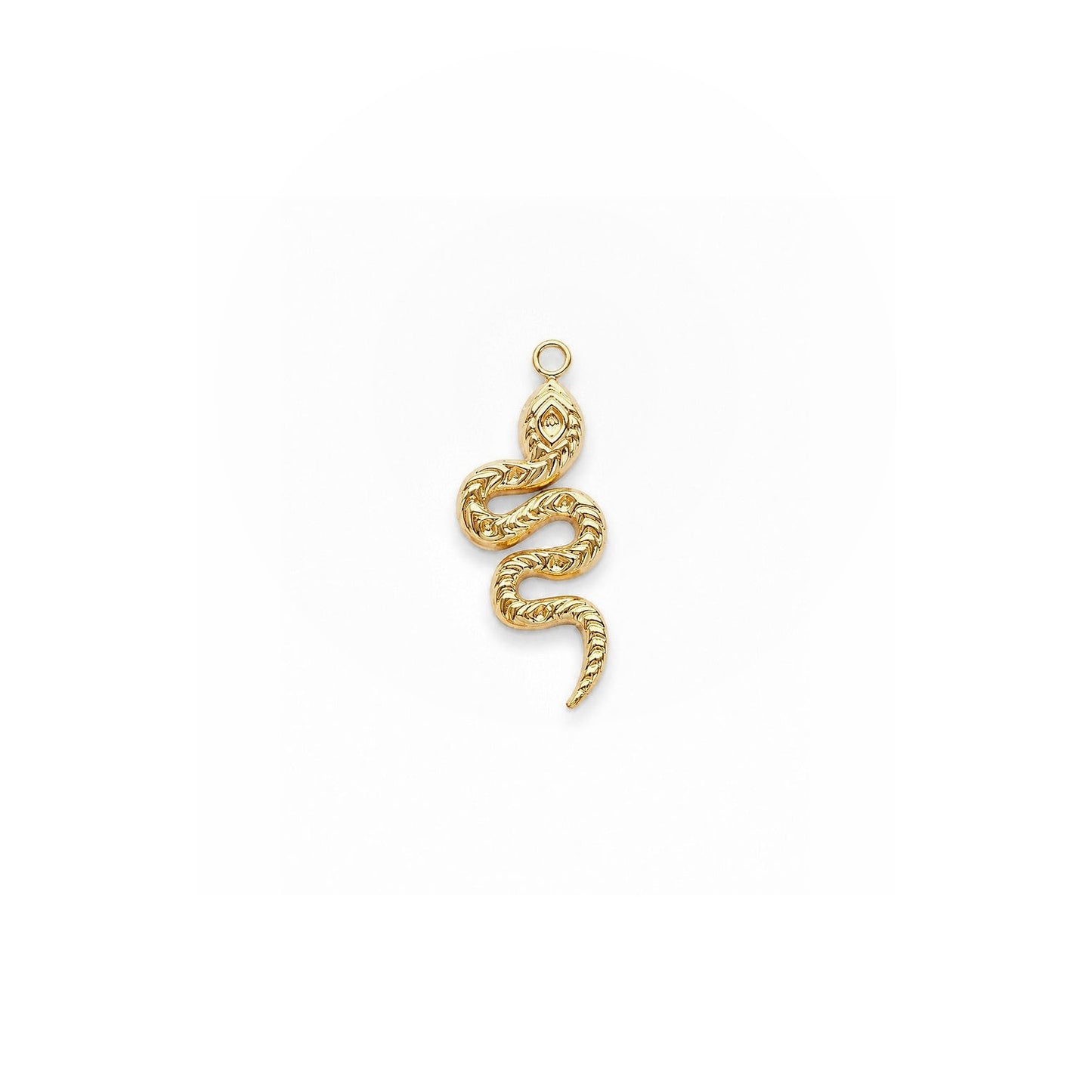 GOLDEN SERPENT 𖦹 Charm