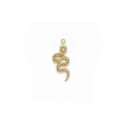 GOLDEN SERPENT 𖦹 Charm