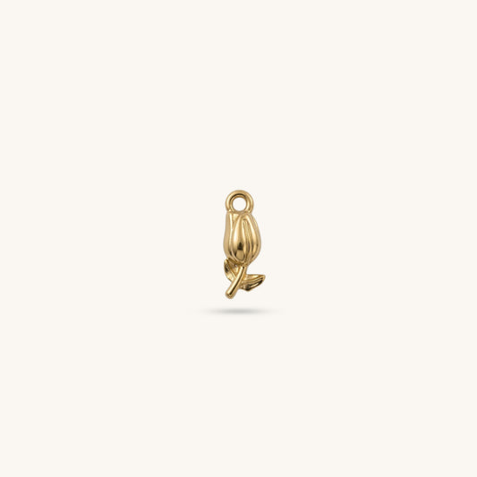 GOLDEN TULIP 𖦹 Charm