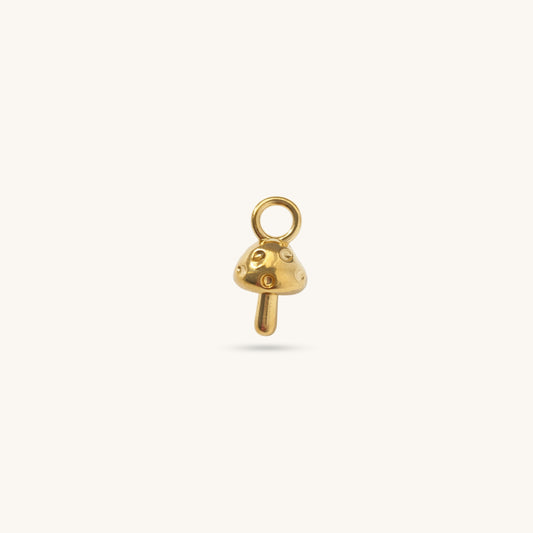 GOLDEN LUCK 𖦹 Charm