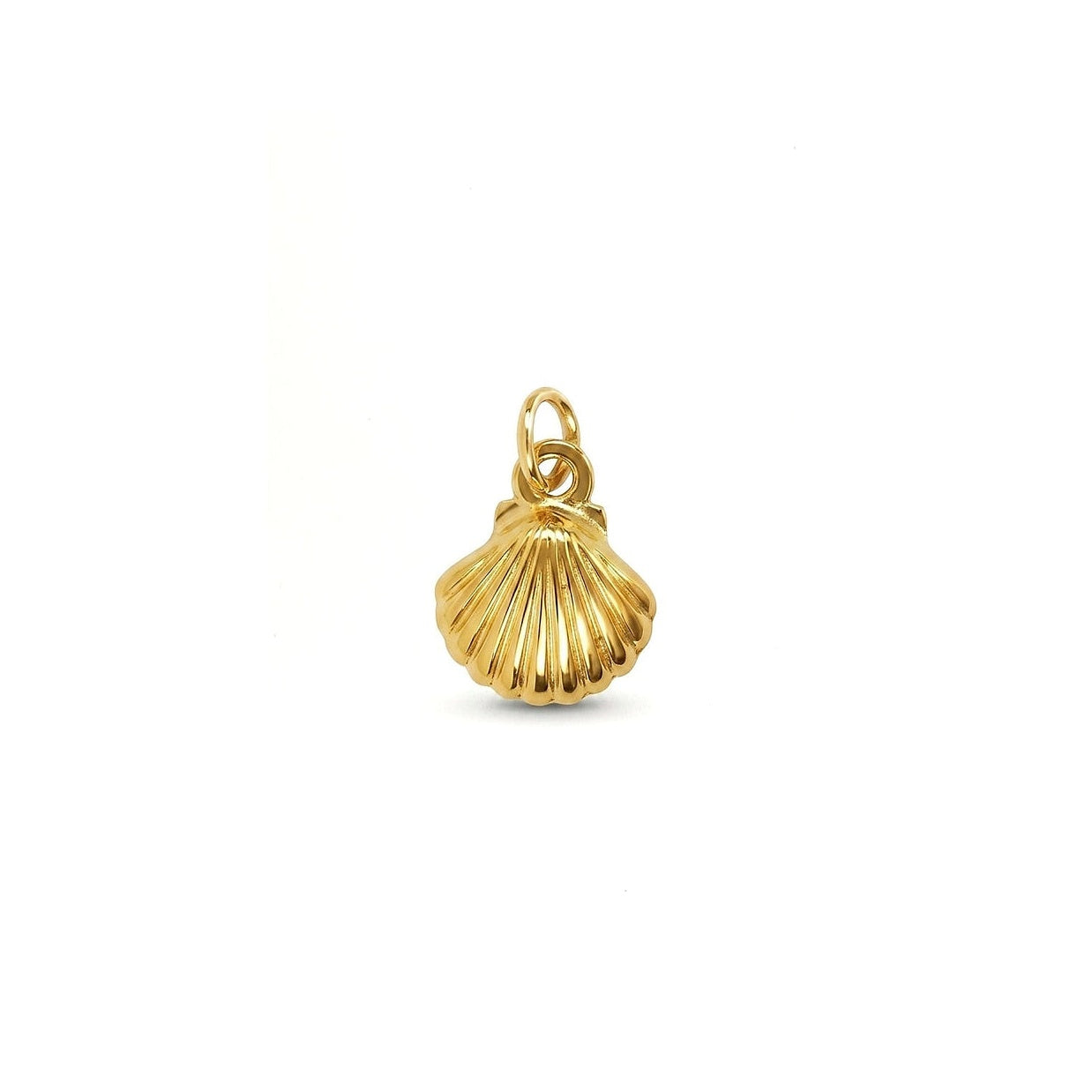 GOLDEN SHELL 𖦹 Charm