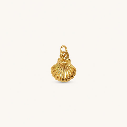 GOLDEN SHELL 𖦹 Charm