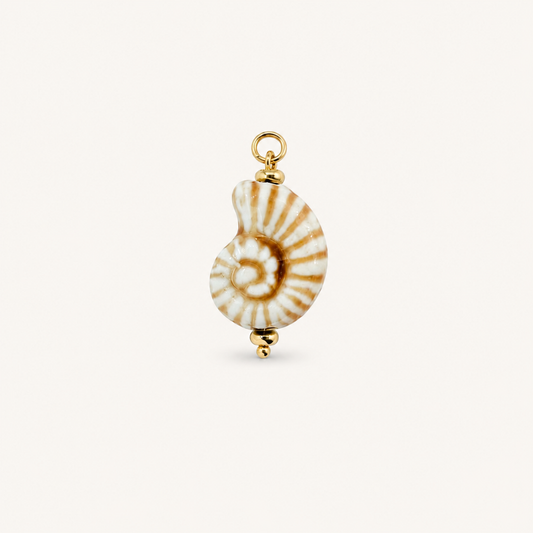 FOSSIL BAY 𖦹 Charm