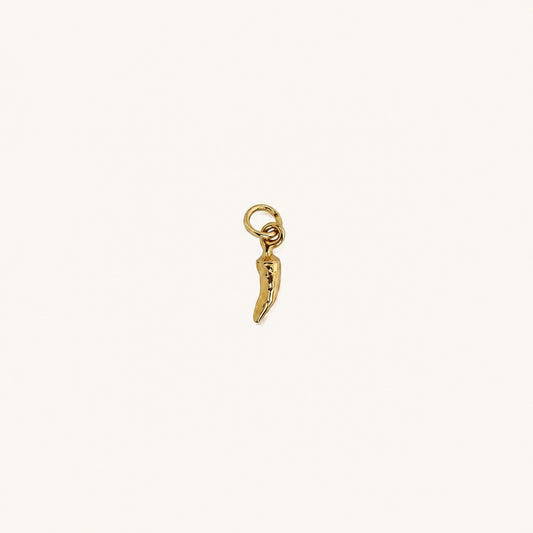 FIESTA 𖦹 Charm