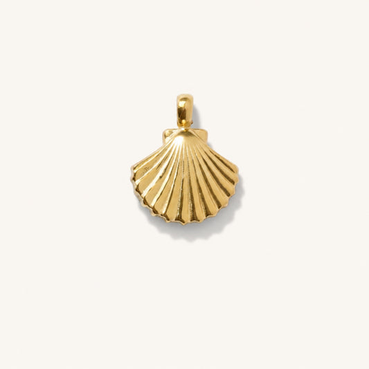 SMALL SHELL 𖦹 Charm