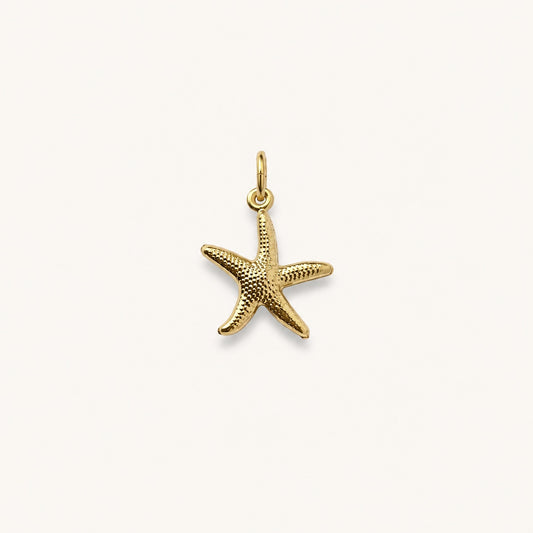 MARIS STAR 𖦹 Charm