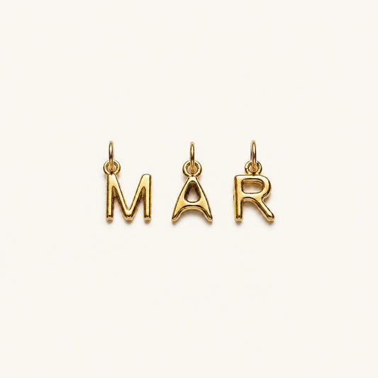 INITIALS 𖦹 Charm