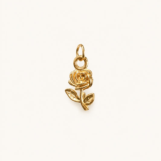 RIVIERA ROSE 𖦹 Charm