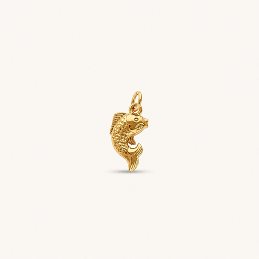GOLDEN FISH 𖦹 Charm