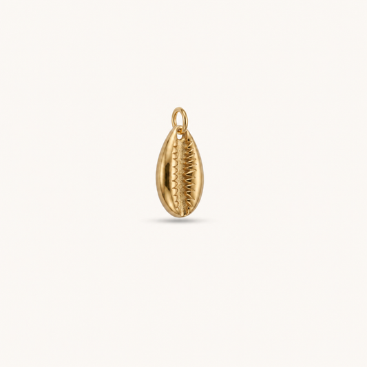 COWRIE 𖦹 Charm