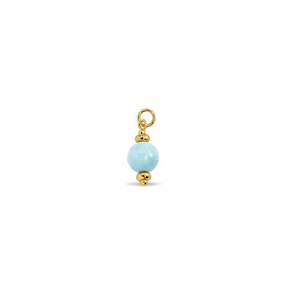 OASIS 𖦹 Charm