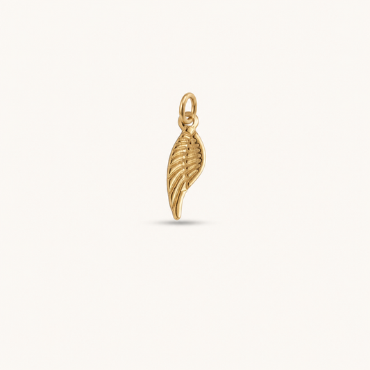 ANGEL WING 𖦹 Charm