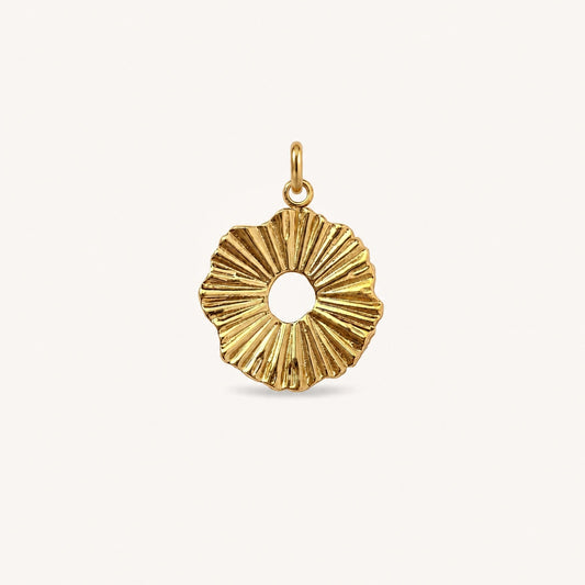 SOLENA 𖦹 Charm