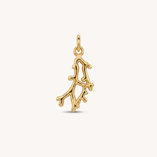 MARÉA 𖦹 Charm