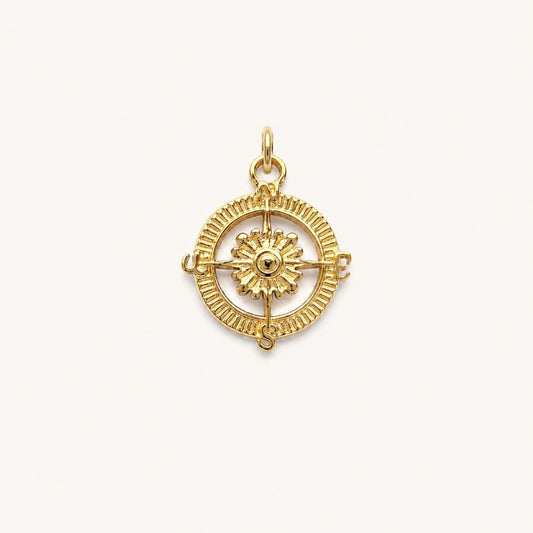 COMPASS 𖦹 Charm