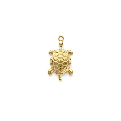 OCEAN TURTLE 𖦹 Charm