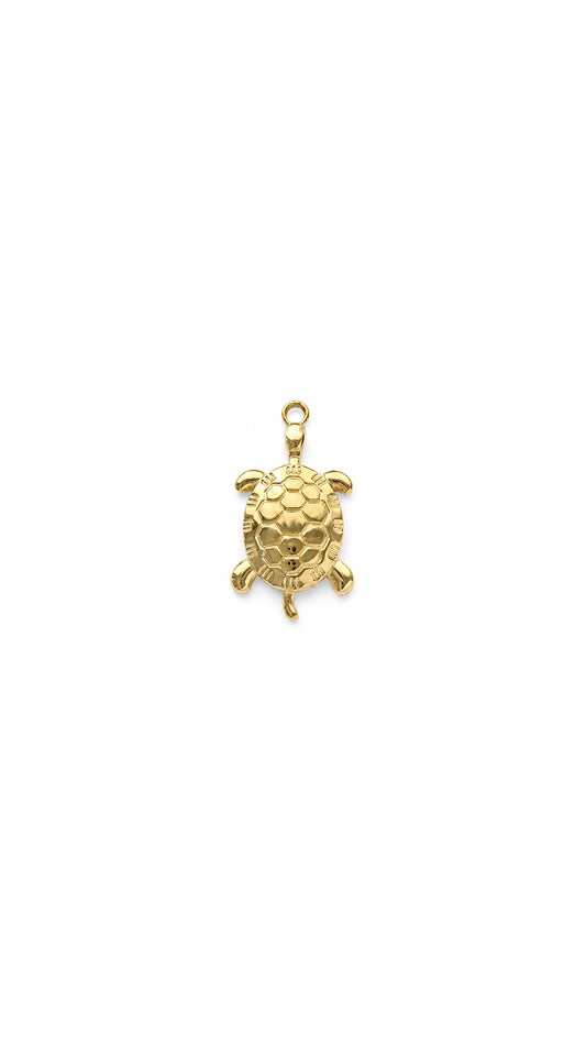 OCEAN TURTLE 𖦹 Charm