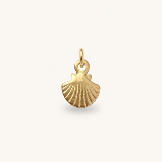 SOLARA SHELL 𖦹 Charm