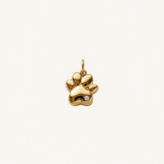GOLDEN PAW 𖦹 Charm