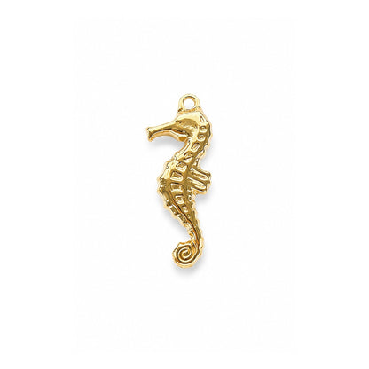 SEA ICON 𖦹 Charm