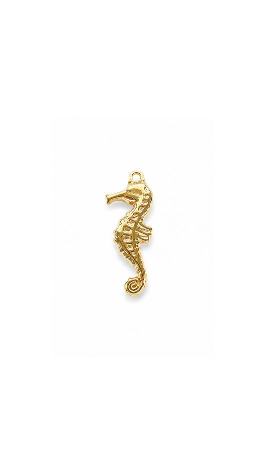 SEA ICON 𖦹 Charm