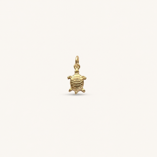 SMALL OCEAN TURTLE 𖦹 Charm