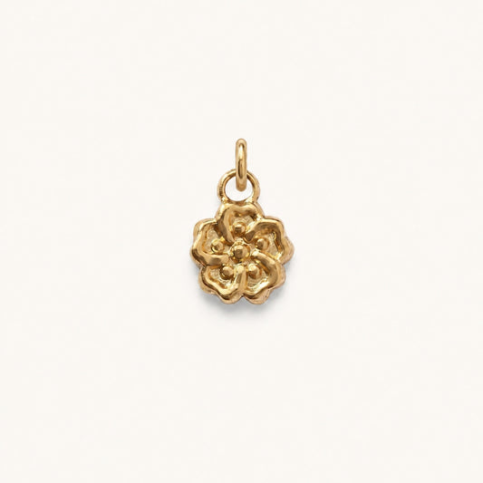 BLOOMIE 𖦹 Charm