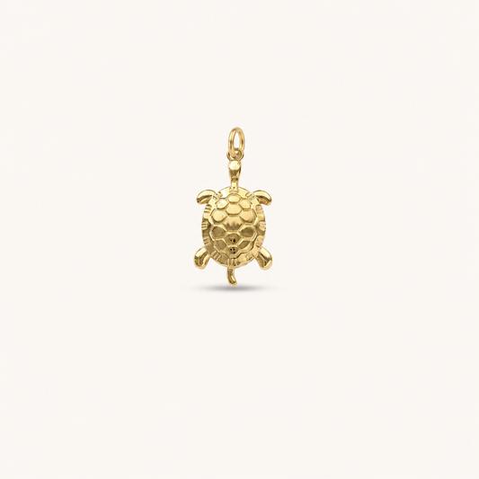 OCEAN TURTLE 𖦹 Charm
