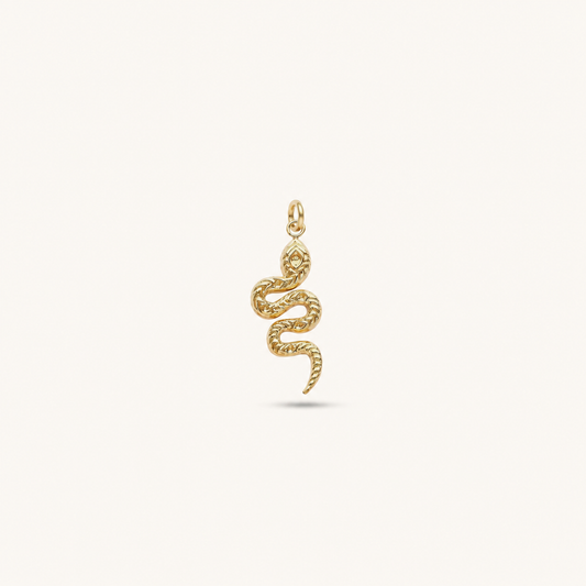 GOLDEN SERPENT 𖦹 Charm