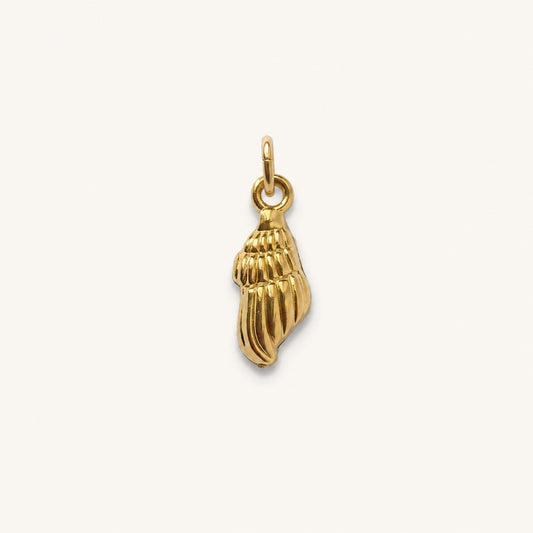 MARIS SHELL 𖦹 Charm