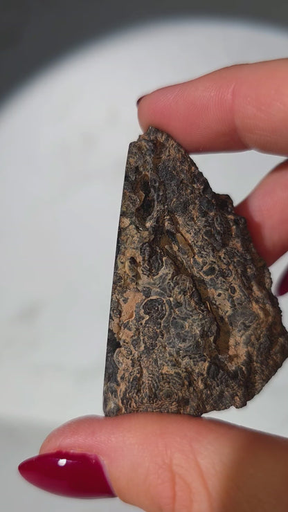 Grau-Schwarze Achat Geode aus Brasilien mit Glitzereffekt