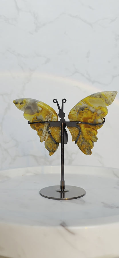 Crazy Laze Achat Schmetterling