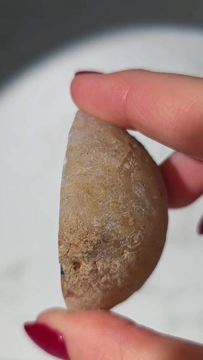 Achat Geode aus Brasilien mit Glitzereffekt