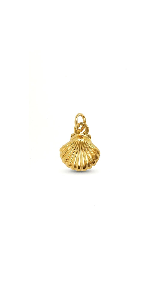 GOLDEN SHELL 𖦹 Charm