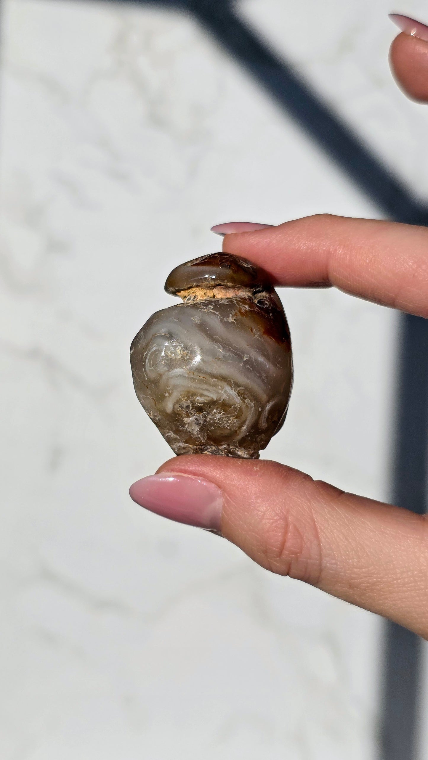 Enhydros (Urwasser eingeschlossen im Wasser-Achat)