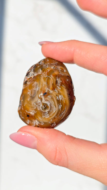 Enhydros (Urwasser eingeschlossen im Wasser-Achat)