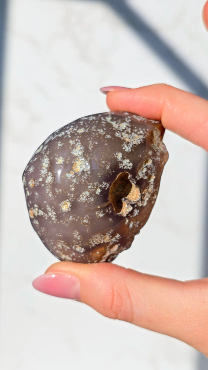 Enhydros (Urwasser eingeschlossen im Wasser-Achat)